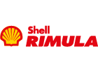 Shell rimula